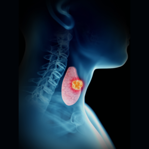 Untitled+design+%281%29