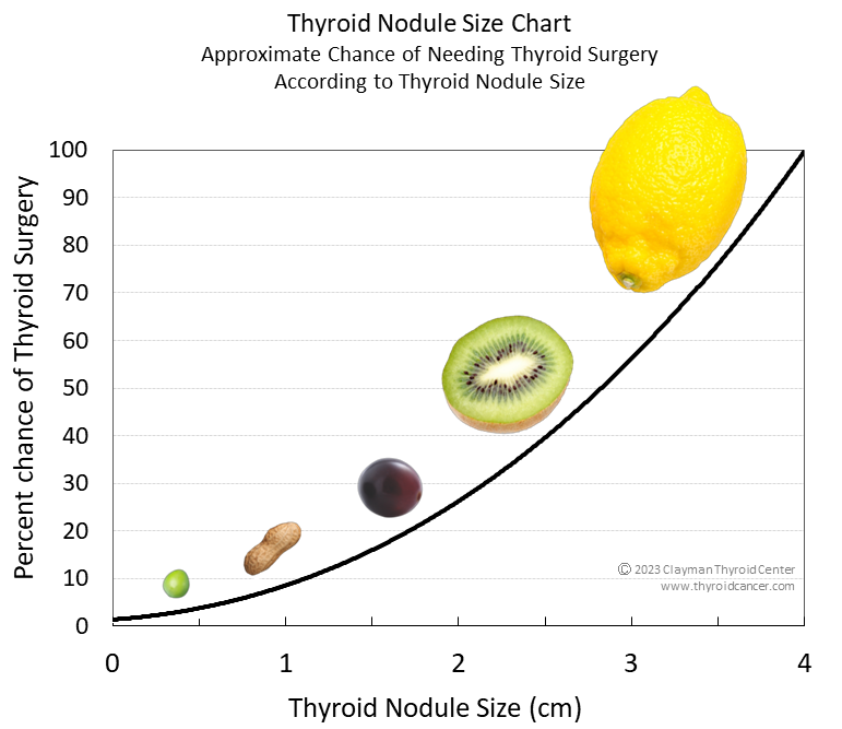 Normal Thyroid Size